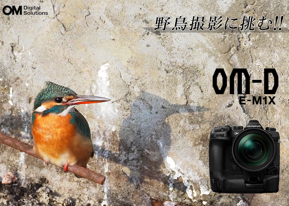 手持ちで撮るはじめての野鳥撮影 オリンパス ミラーレス一眼カメラ Om D E M1x 実写レビュー ムラウチドットコムの公式通販サイト