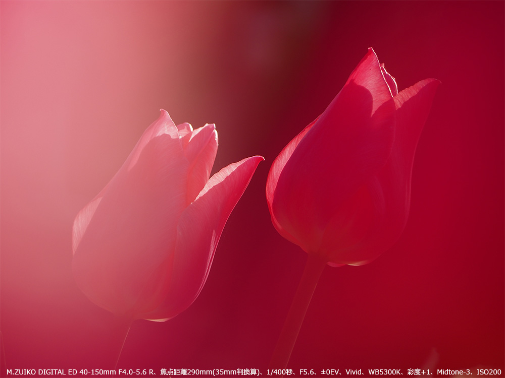 搶̍i