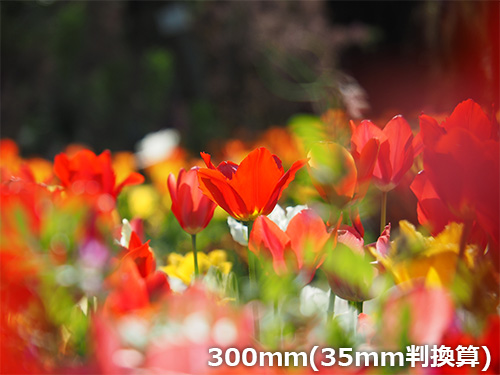 œ_300mm(35mmZ)