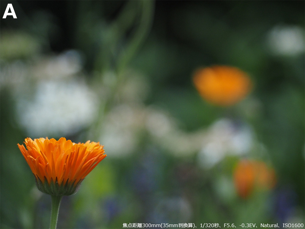 AB̂ǂ14-150mm F4.0-5.6 II킩邩ȁH