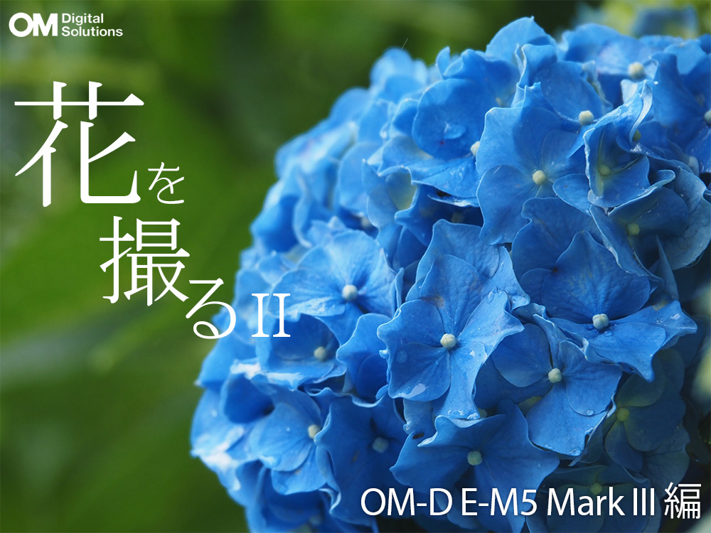 雨が降っても大丈夫！小型軽量防塵防滴一眼カメラ OM-D E-M5 Mark III