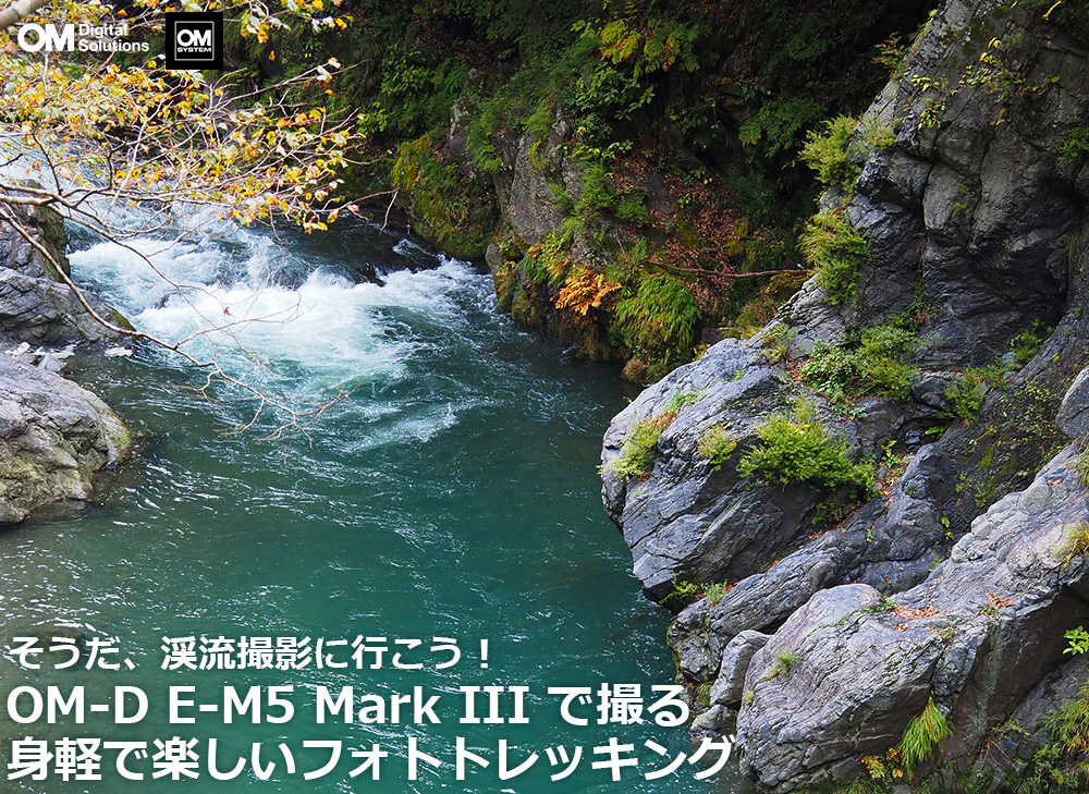 ^yʃ~[XJ IpX OM-D E-M5 Mark III kJBer[I