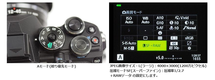 Be[hA[h(iD)ɂāA掿[hLSF{RAWI܂B