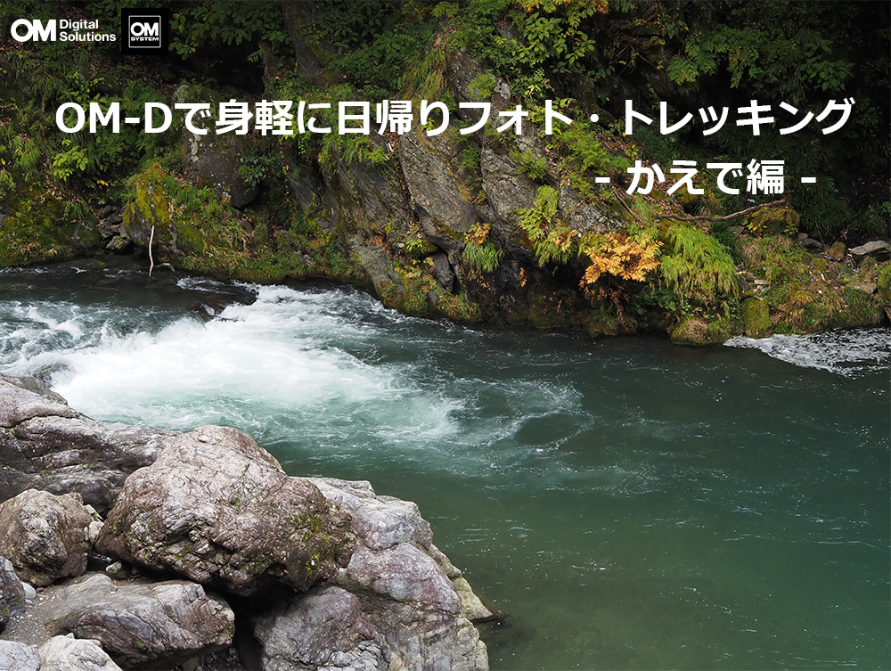 IpX OM-D E-M5 Mark IIIŐgyɌkBeB߂ẴgbLOr[