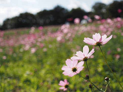F4.0@1/2000b@ISO200@Io␳}0@œ_30
