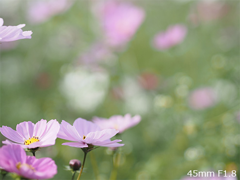 45mm F1.8