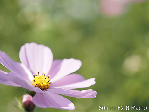 60mm F2.8 Macro