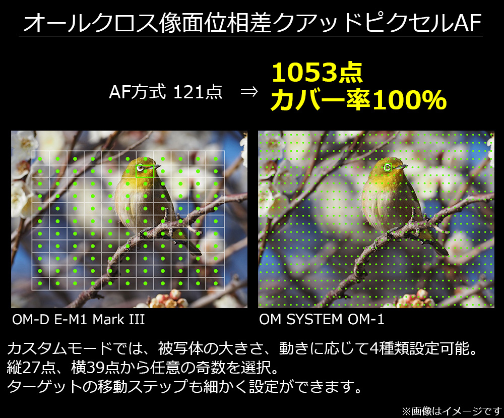 I[NXʈʑNAbhsNZAF 1053_I[NXAFC[W摜