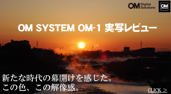 OLYMPUS オリンパス OM SYSTEM OM-1 12-100mm F4.0 PROキット OLYMPUS オリンパス OM SYSTEM OM-1 12-100mm F4.0 PROキット
