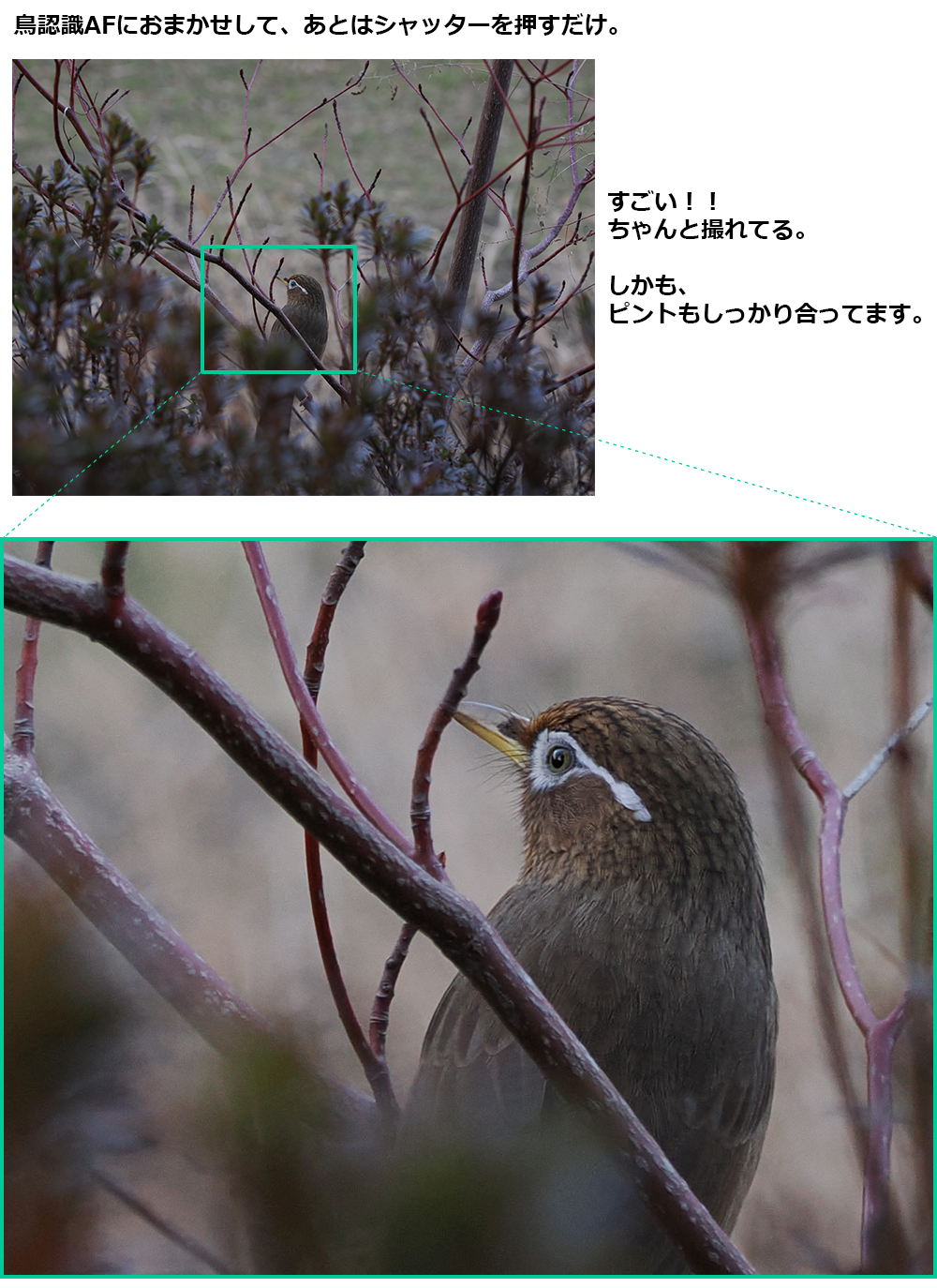 ߂ႭB邶ȂłII