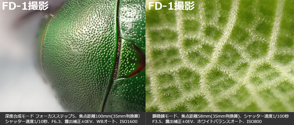 FD-1Be