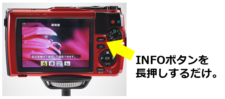 INFO{^𒷉