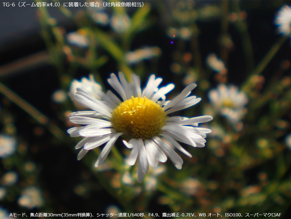 TG-6ɑBY[{4{łB