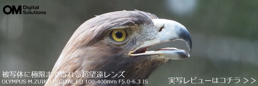 ]\Ə^yʂ𗼗\ȃY[Y OLYMPUS M.ZUIKO DIGITAL ED 100-400mm F5.0-6.3 IS r[͂NbN