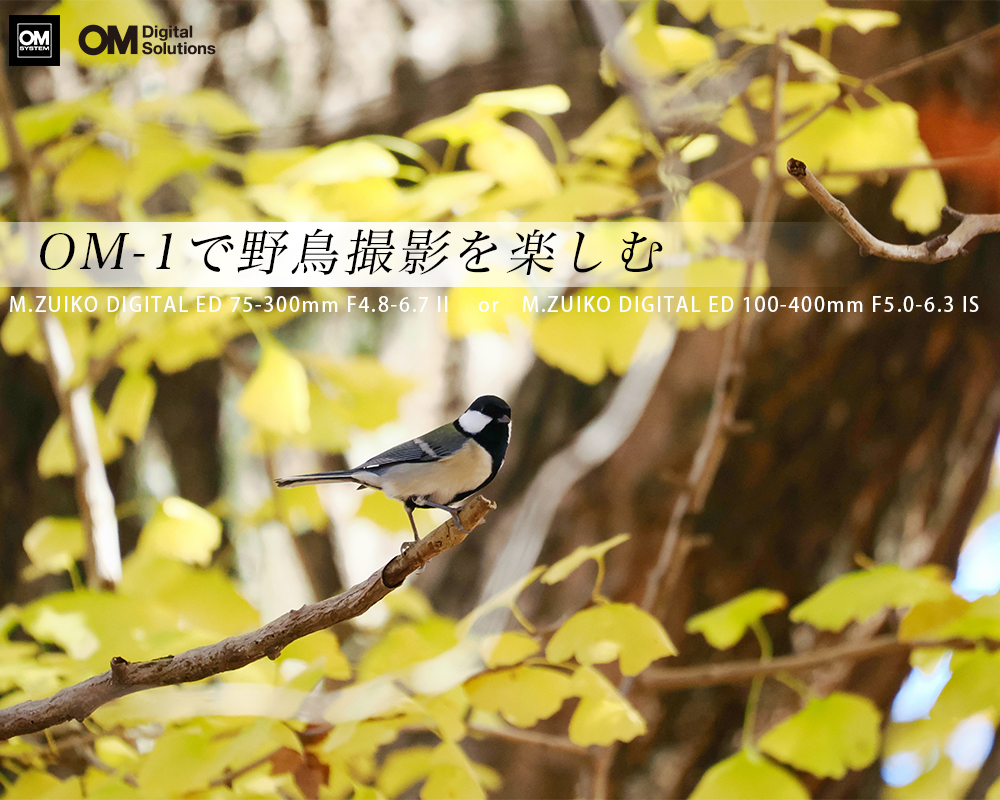 OM SYSTEM OM-1Ŗ쒹Be`͂߂Ă̖쒹Beɂ߃Y`