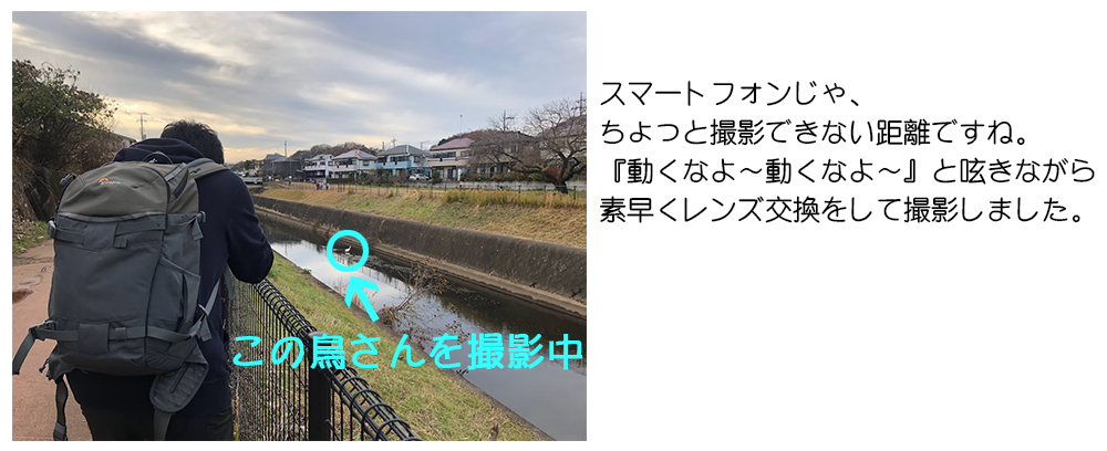 ł]Y[YƎ̂悤Ȏʐ^Beł܂