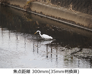 M.ZUIKO DIGITAL ED 14-150mm F4.0-5.6 II