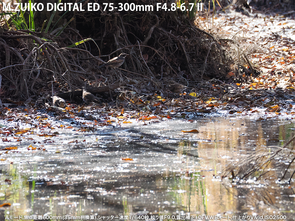 A[h,œ_600mm(35mmZ),Vb^[x1/640b,ilF9.0,Io␳}0EV,WBI[g,dオVivid,ISO2500