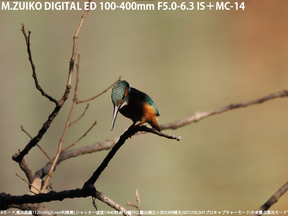 A[h,œ_1120mm(35mmZ),Vb^[x1/640b,ilF9.0,Io␳}0EV,WBV,dオNatural,ISO1250