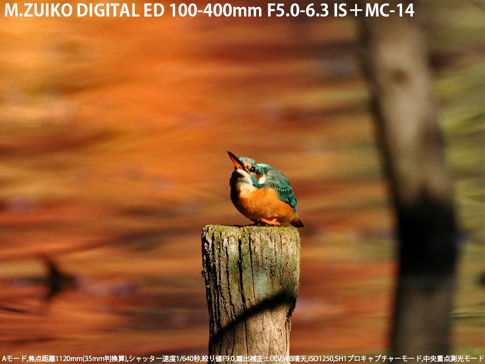 A[h,œ_1120mm(35mmZ),Vb^[x1/640b,ilF9.0,Io␳}0EV,WBV,dオNatural,ISO1250