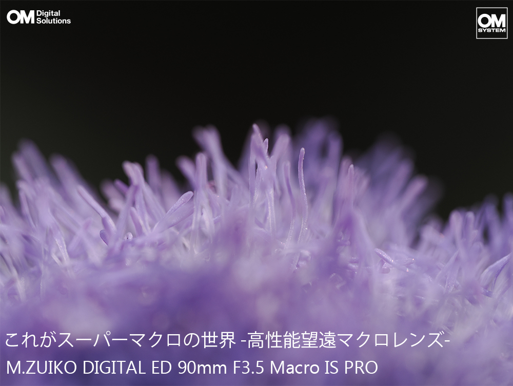 ꂪX[p[}N̐EIM.ZUIKO DIGITAL ED 90mm F3.5 Macro IS PRO ʃr[