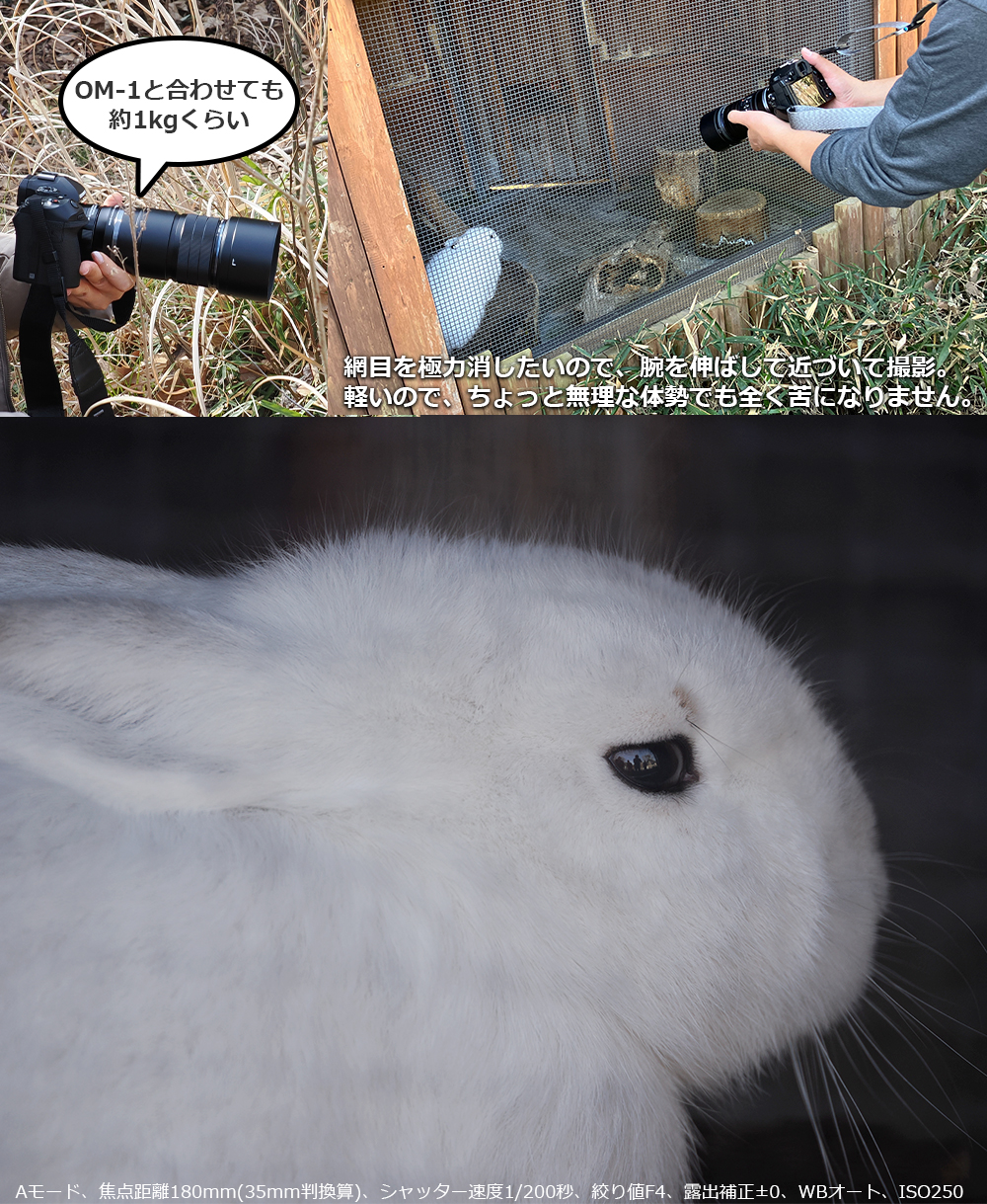 ӂӂ̂䂫