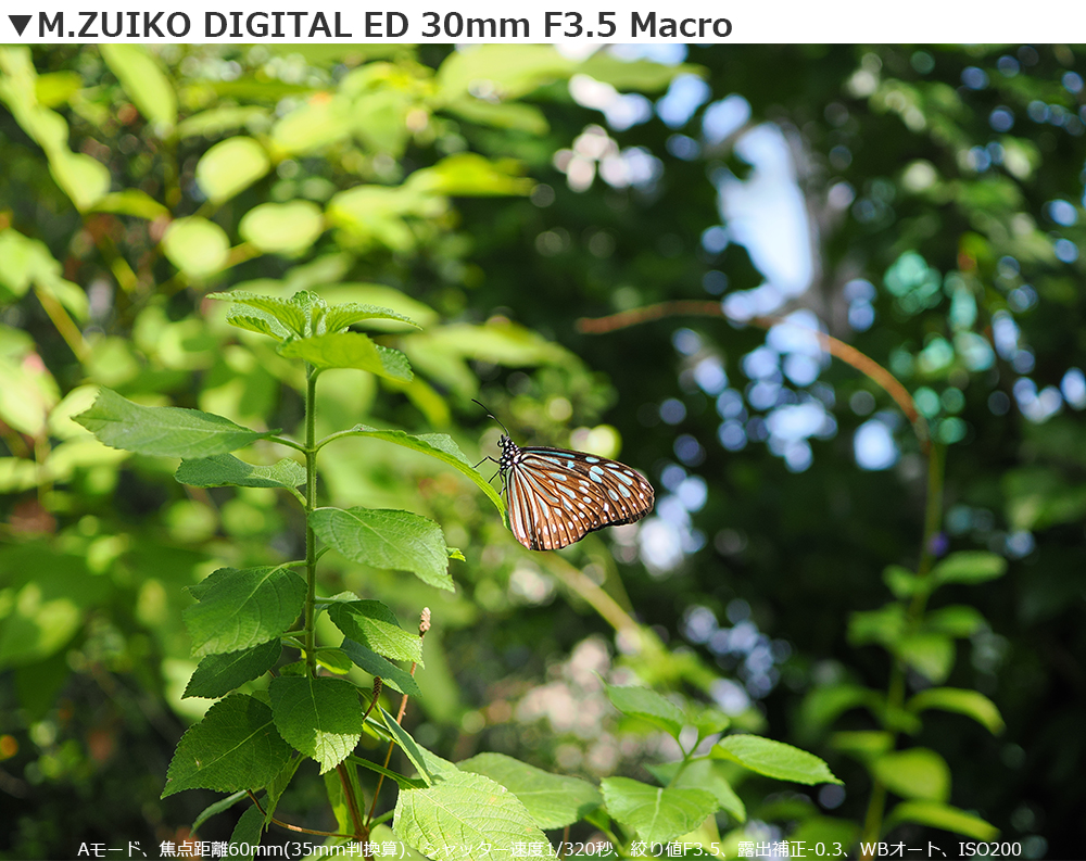 M.ZUIKO DIGITAL ED 30mm F3.5 Macro Be