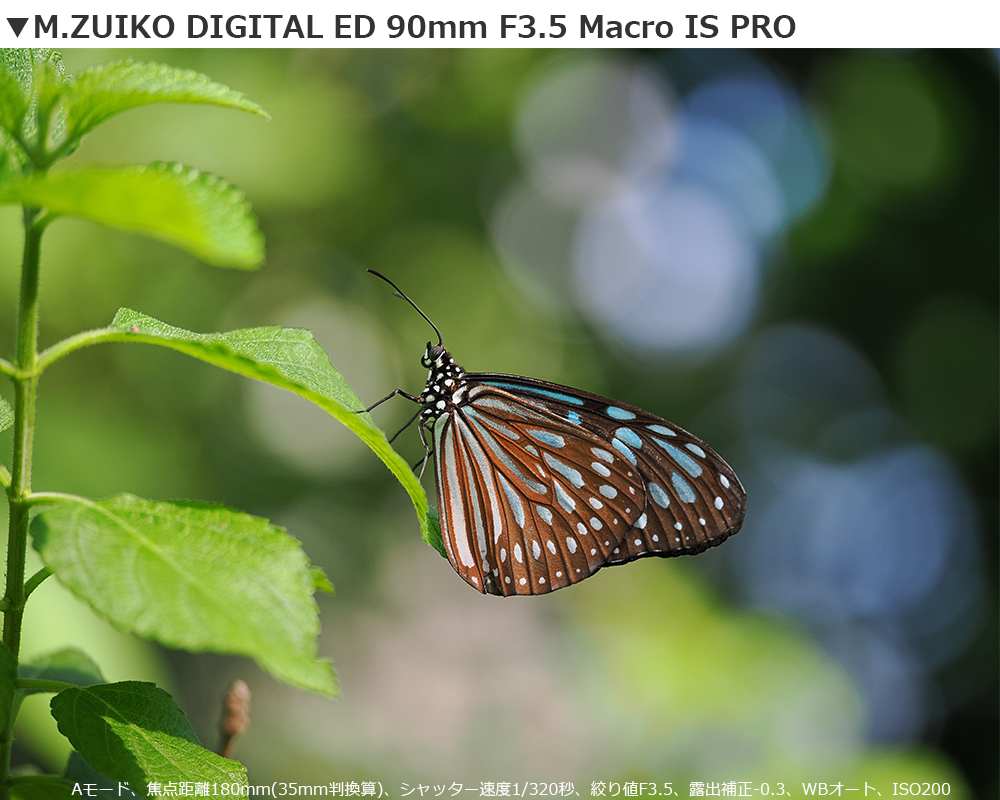 M.ZUIKO DIGITAL ED 90mm F3.5 Macro IS PRO