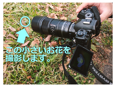 90mm}NYŐ[xɒ