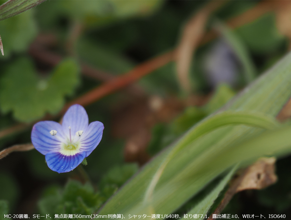 莝Be MC-20AS[hAœ_360mm(35mmZ)AVb^[x1/640bAilF7.1AIo␳}0AWBI[gAISO640