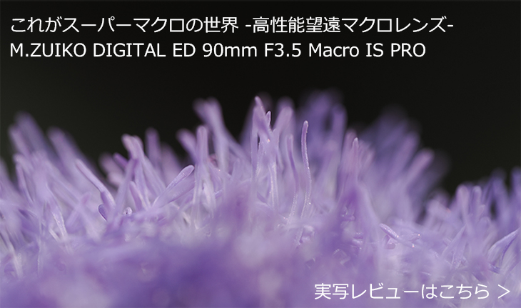 35mmZ4{̒{Be\ȍ\]}NY M.ZUIKO DIGITAL ED 90mm F3.5 Macro IS PRO ʃr[͂灄