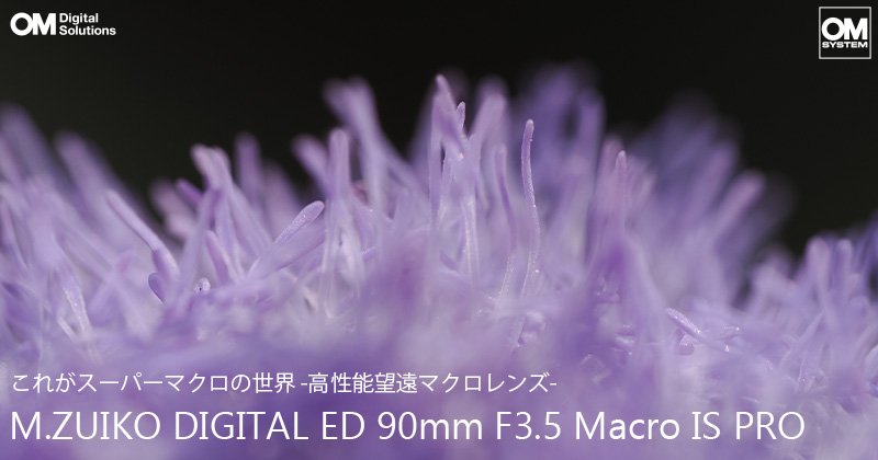 OM SYSTEM M.ZUIKO DIGITAL ED 90mm F3.5 Macro IS PRO 実写 OM SYSTEM M.ZUIKO DIGITAL ED 90mm F3.5 Macro IS PRO 実写