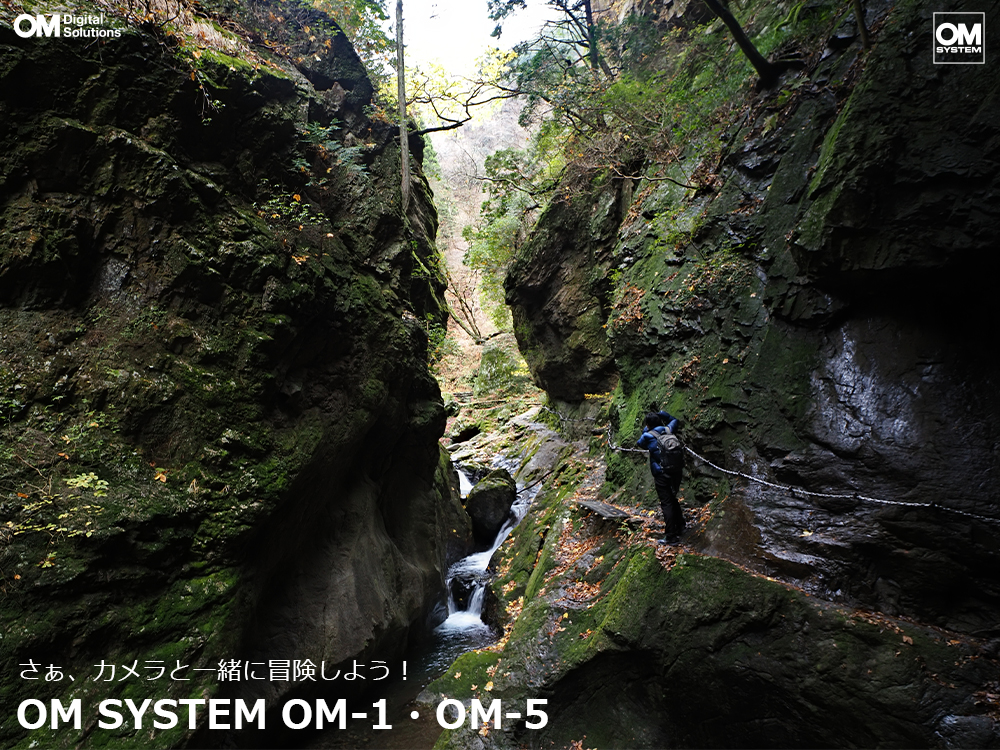 AJƈꏏɂ킭킭`ɏo悤IOM SYSTEM OM-1EOM-5