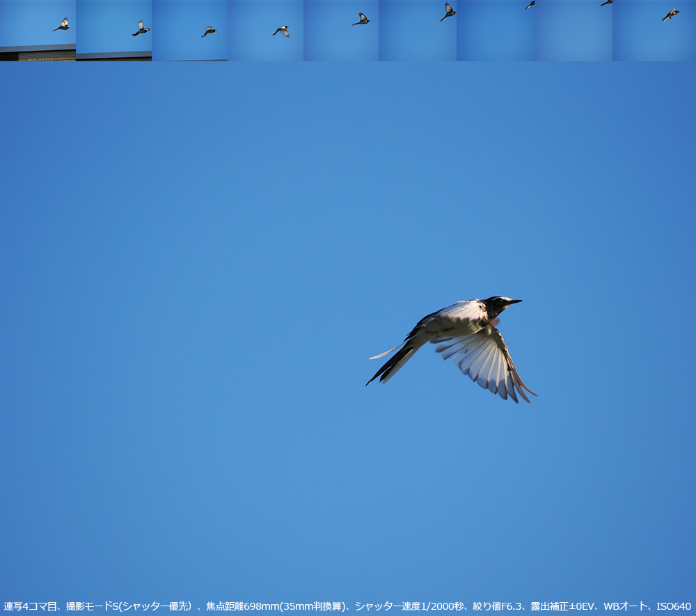 A4R}ځABe[hS(Vb^[DjAœ_698mm(35mmZ)AVb^[x1/2000bAilF6.3AIo␳}0EVAWBI[gAISO640