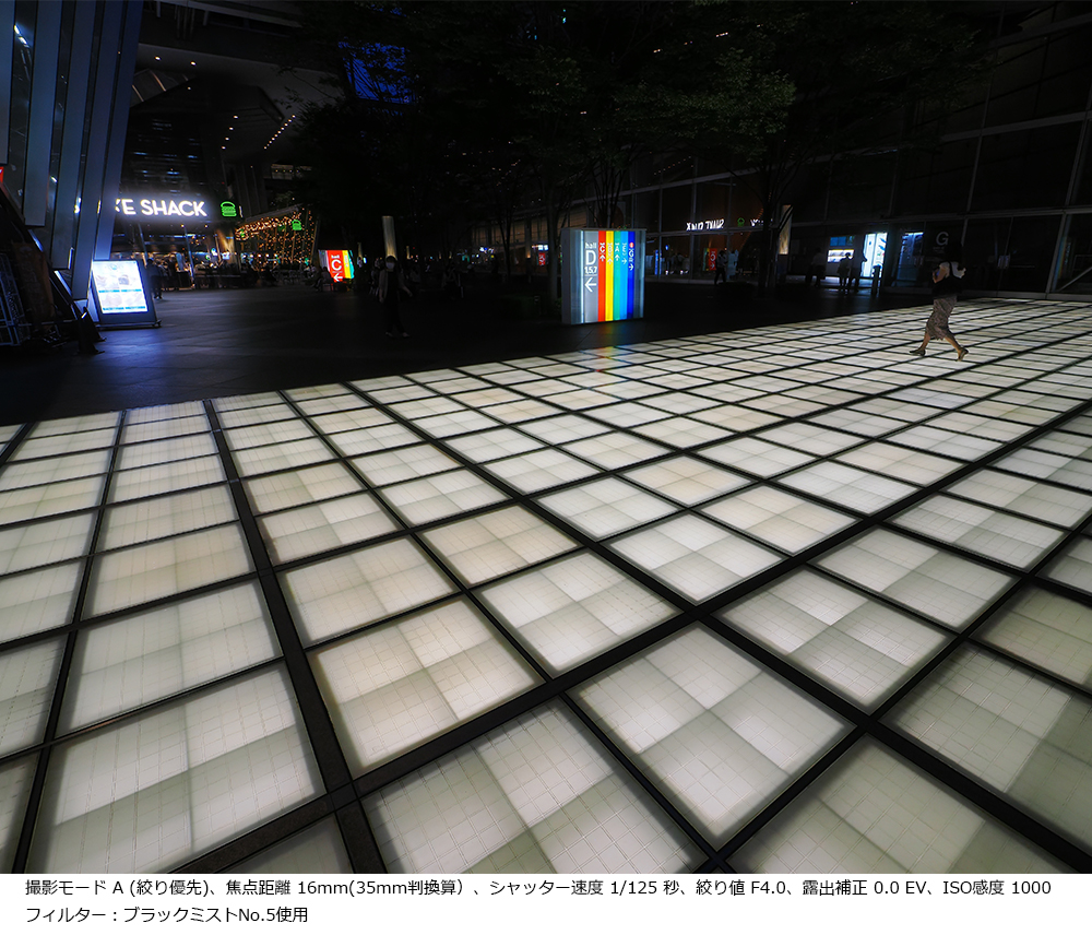 Be[h A (iD)Aœ_ 16mm(35mmZjAVb^[x 1/125 bAil F4.0AIo␳ 0.0 EVAISOx 1000tB^[FubN~XgNo.5gp