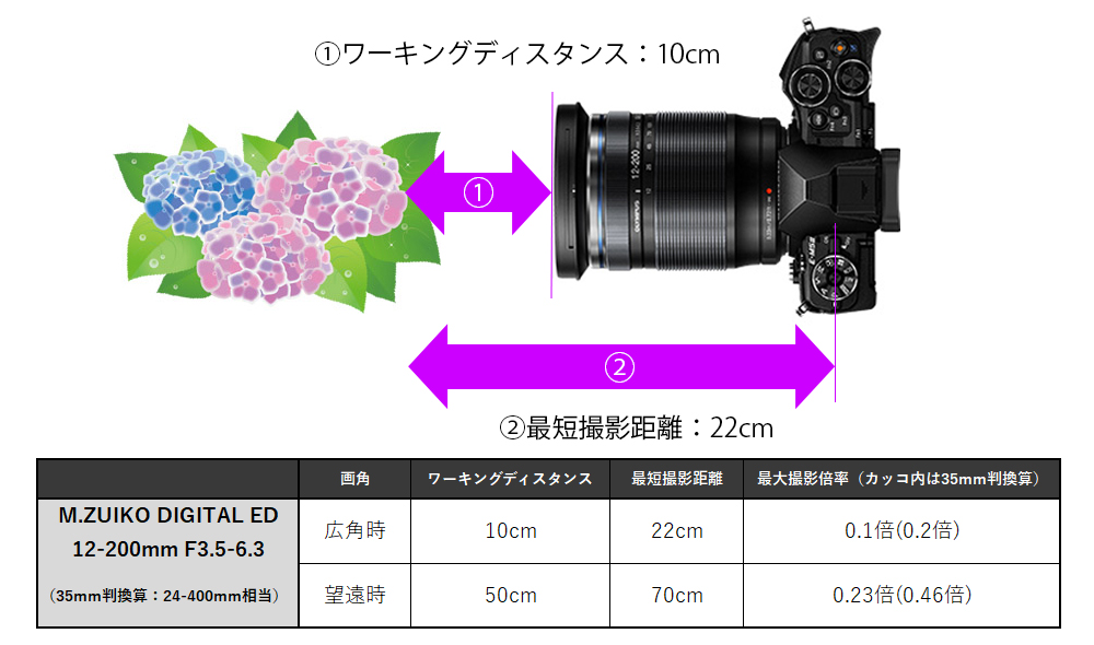 Lp[LOfBX^X10cmB]ł[LOfBX^X50cmB