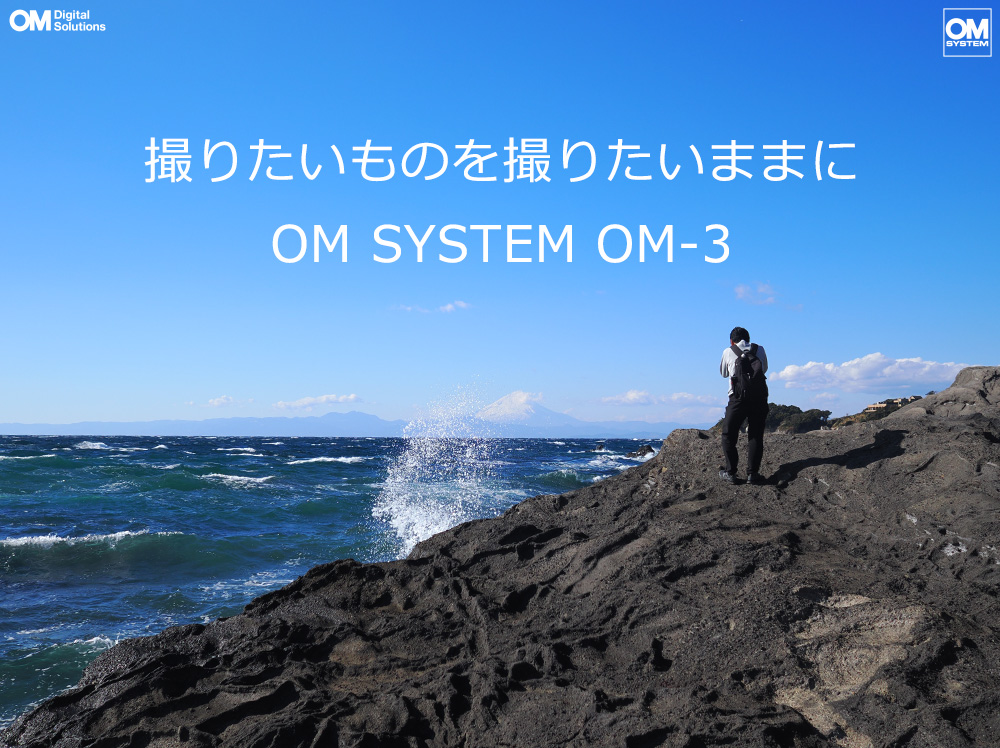 yȂIȂIhoEhH~[XJ OM-3 fr[I