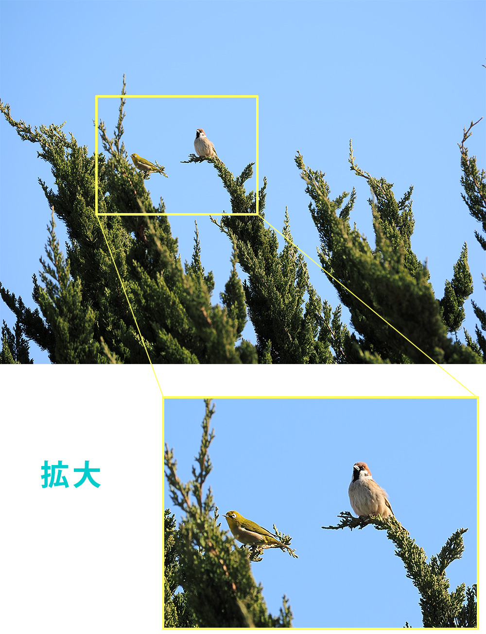 Ƃ肠͎BꂽI