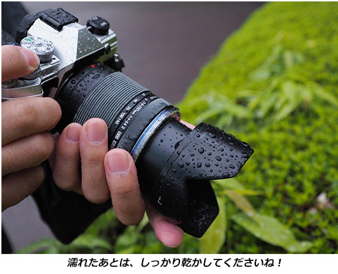 小型軽量ミラーレスカメラ OM SYSTEM OM-5 実写レビュー2/2ページ目