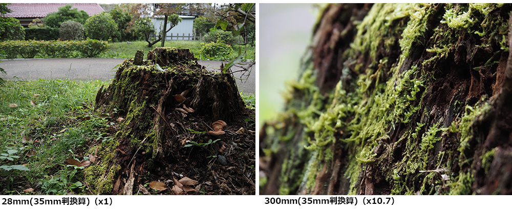 ʒuBeBM.ZUIKO DIGITAL ED 14-150mm F4.0-5.6 II10.7{{Y[YAv̂܂܂ɎBeł܂B