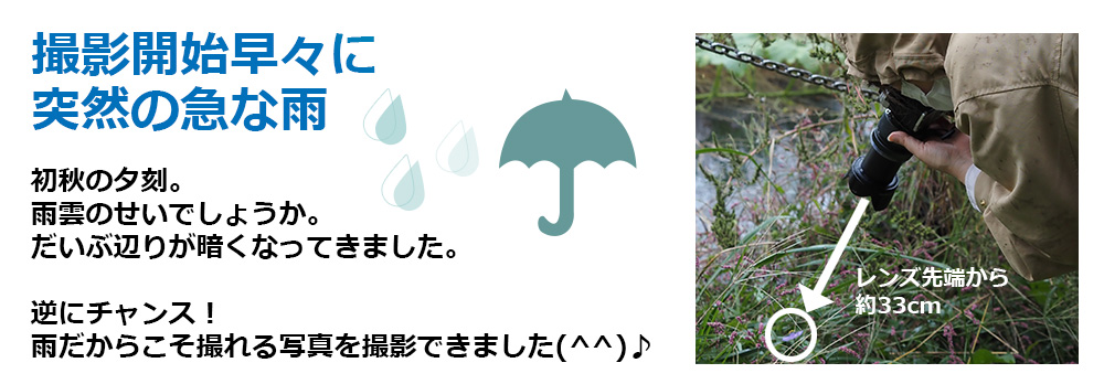 ˑR̉JłvIhoEhHYō