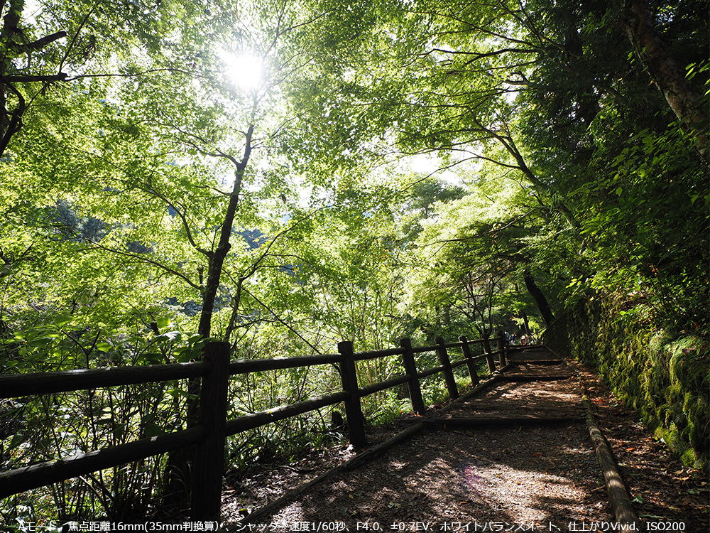 A[hAœ_16mm(35mmZjAVb^[x1/60bAF4.0A}0.7EVAzCgoXI[gAdオVividAISO200