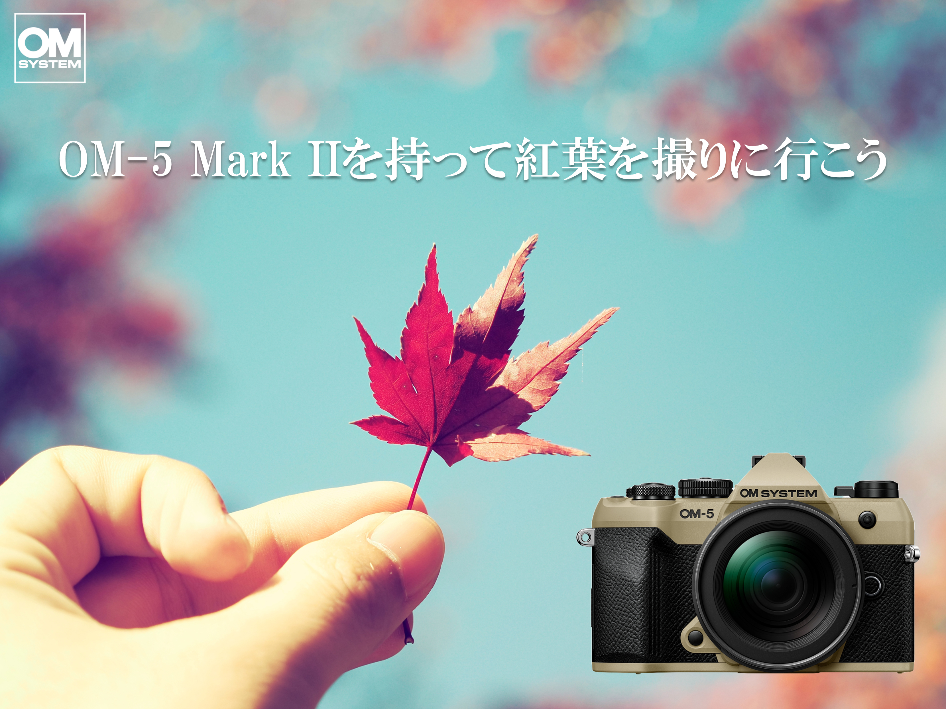 OM SYSTEM OM-5 Mark IIで紅葉狩り OM SYSTEM OM-5 Mark IIで紅葉狩り