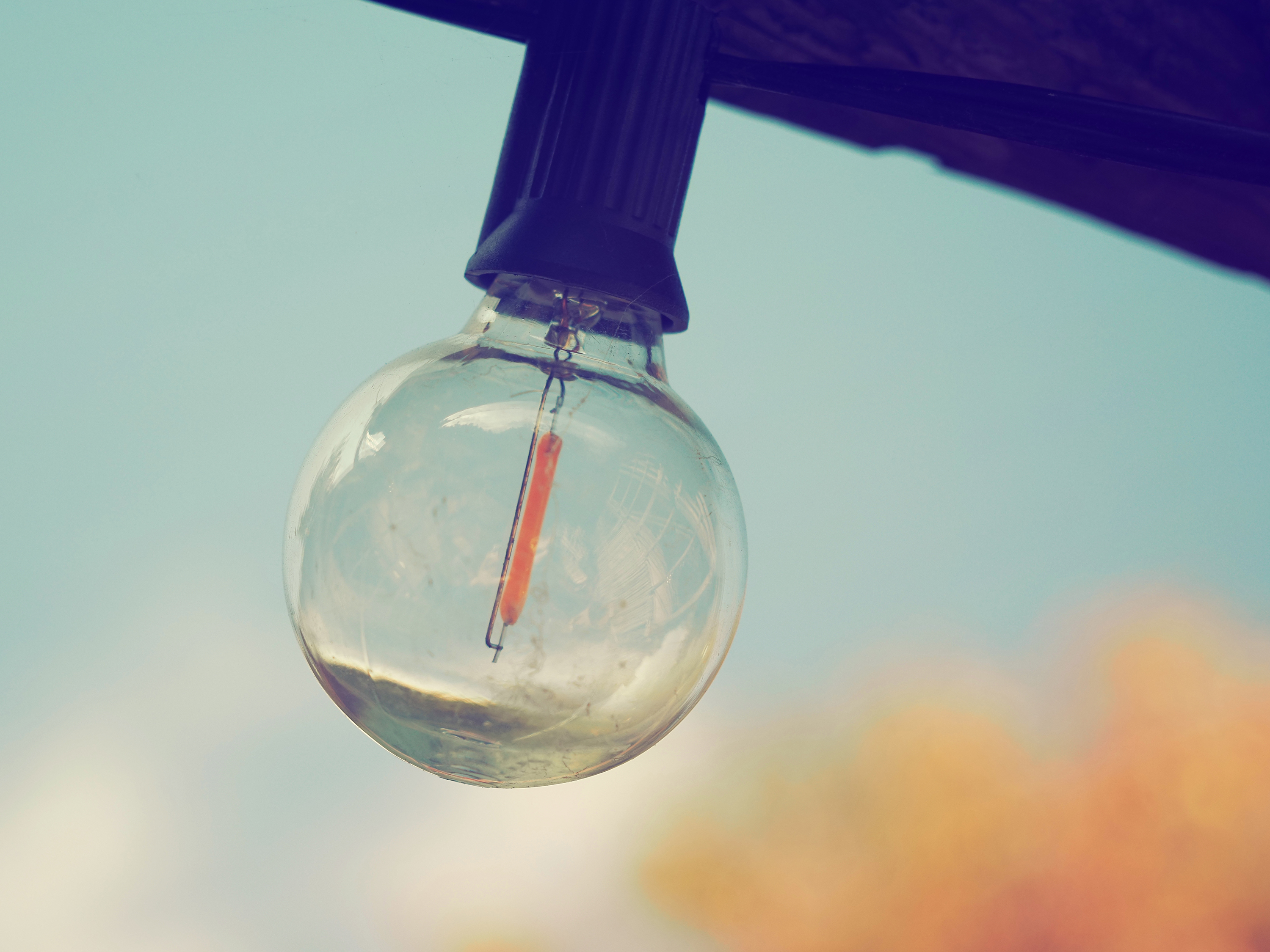 OM-5 Mark II M.ZUIKO DIGITAL ED 12-45mm F4.0 PRO F4,1/800秒,ISO200,+0.3EV,WBオート,ヴィンテージI OM-5 Mark II M.ZUIKO DIGITAL ED 12-45mm F4.0 PRO F4,1/800秒,ISO200,+0.3EV,WBオート,ヴィンテージI