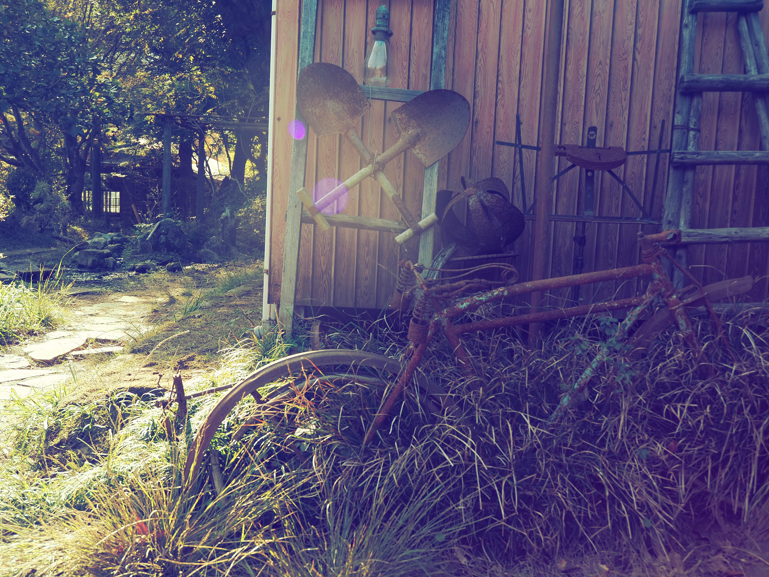 OM-5 Mark II M.ZUIKO DIGITAL ED 12-45mm F4.0 PRO F4,1/200秒,ISO200,0EV,WBオート,ヴィンテージI OM-5 Mark II M.ZUIKO DIGITAL ED 12-45mm F4.0 PRO F4,1/200秒,ISO200,0EV,WBオート,ヴィンテージI