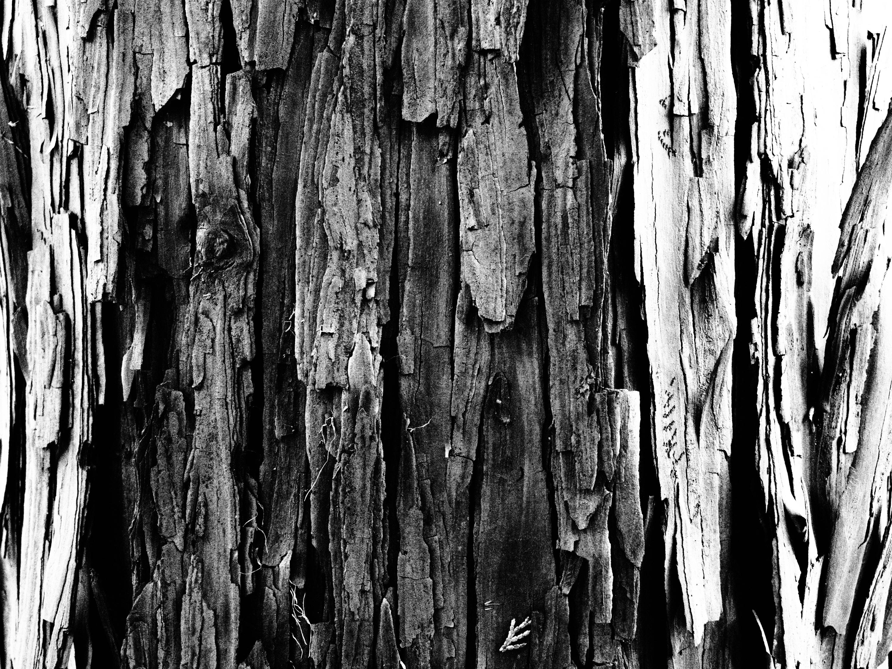 OM-5 Mark II M.ZUIKO DIGITAL ED 12-45mm F4.0 PRO F4,1/60秒,ISO3200,-0.7EV ラフモノクローム OM-5 Mark II M.ZUIKO DIGITAL ED 12-45mm F4.0 PRO F4,1/60秒,ISO3200,-0.7EV ラフモノクローム