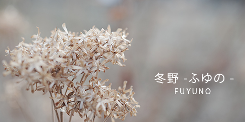 JX^C[WSpecial Editionu~(FUYUNO)v