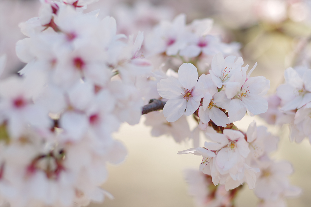 JX^C[W tgAiF2.5AVb^[x1/400AIo␳+1.0AISOx100AzCgoXAWB