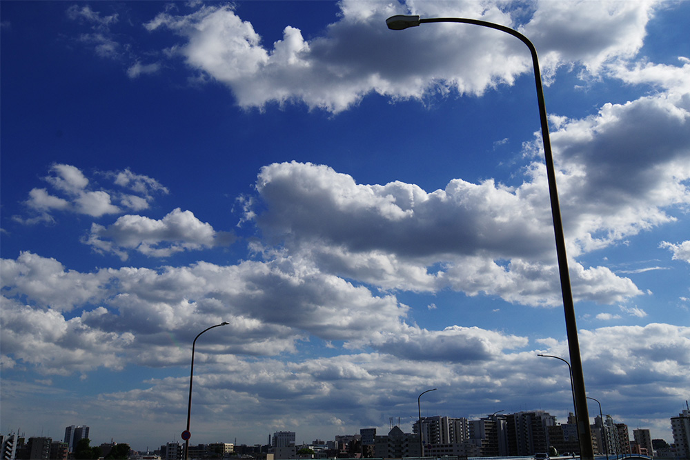 JX^C[WēVAilF10AVb^[x1/1600AIo␳}0AVh[␳AISOx400AzCgoXAWB
