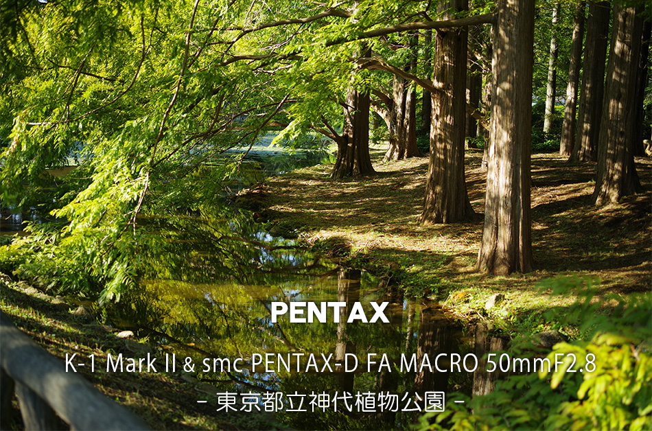 KV[Y35~tTCYfW^჌tJ̃tbOVbv@ PENTAX K-1 Mark II 